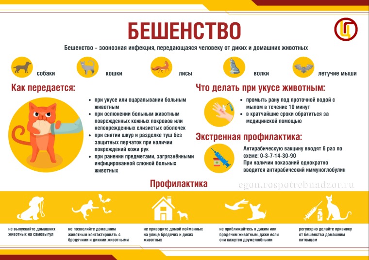 ОСТОРОЖНО! БЕШЕНСТВО!.